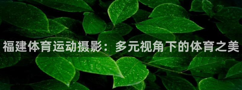 betway西汉姆官网