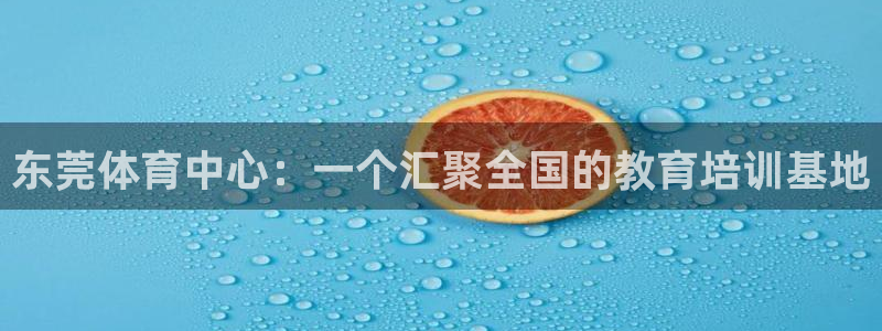 必威betway西汉姆联