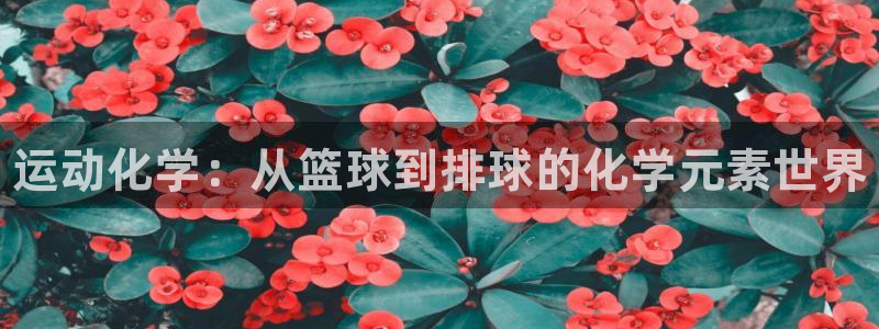 betway西汉姆联