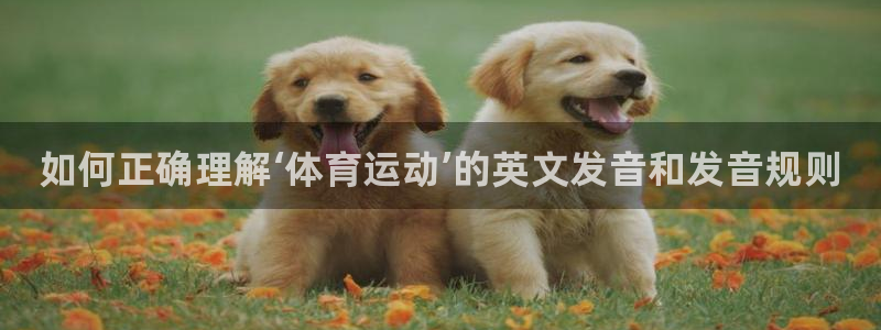 betway西汉姆官网