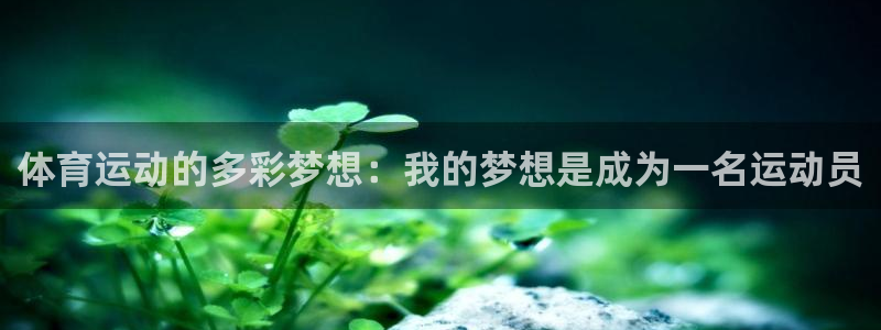 betway西汉姆联官网