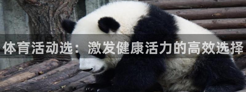 betway西汉姆联官网