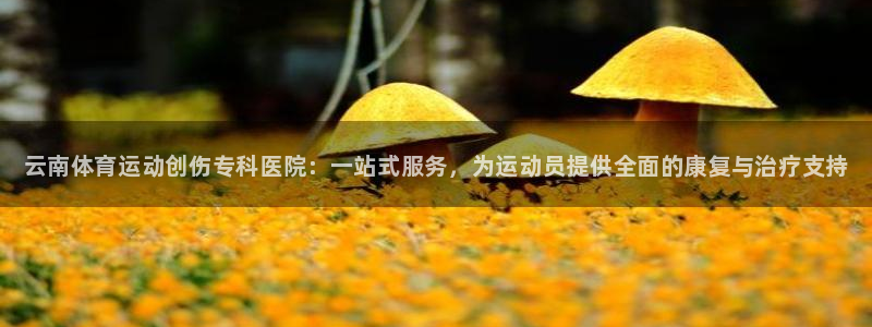 betway西汉姆联