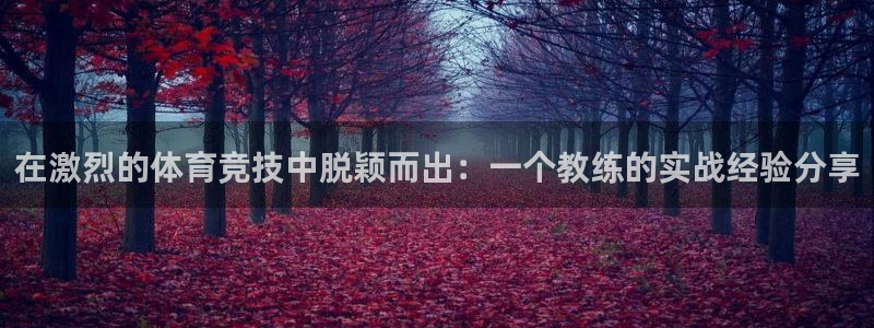 betway西汉姆联