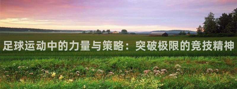betway西汉姆联官网