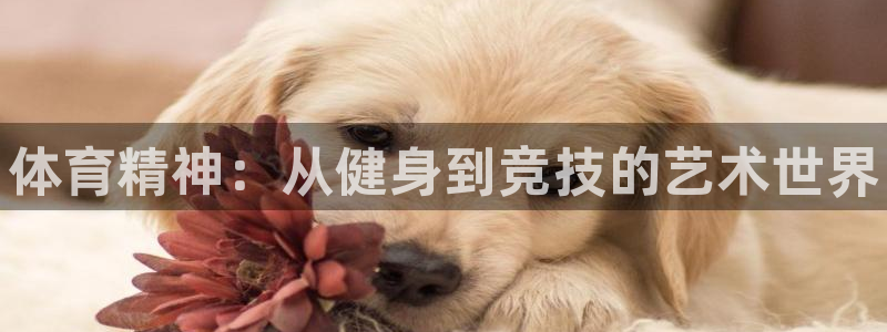 必威betway西汉姆联
