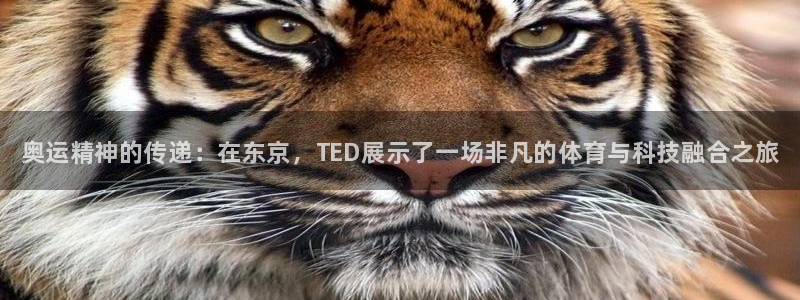 betway西汉姆