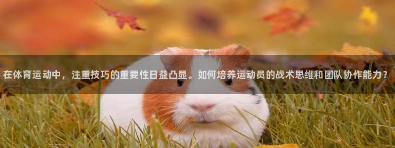 betway西汉姆