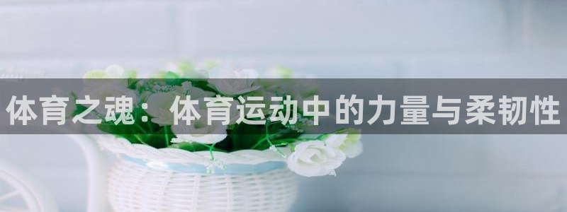 必威betway西汉姆联