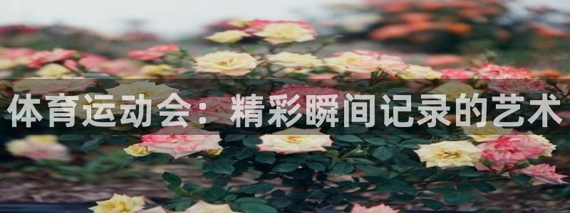 betway西汉姆