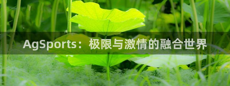 betway西汉姆