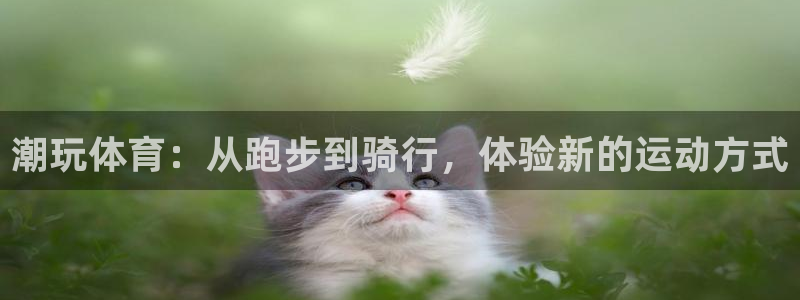 betway西汉姆联