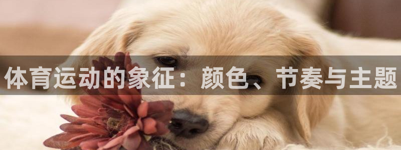 betway西汉姆联