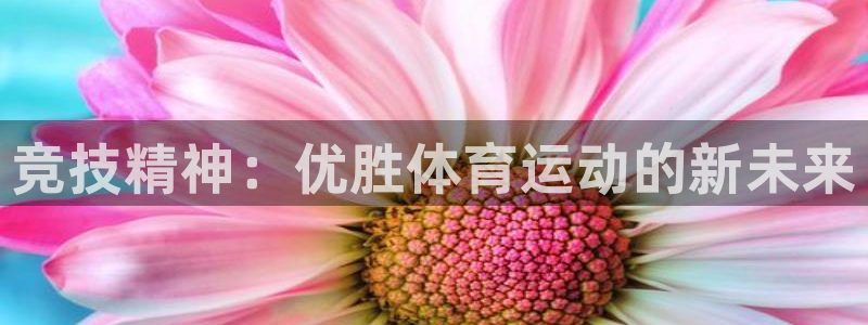 betway西汉姆