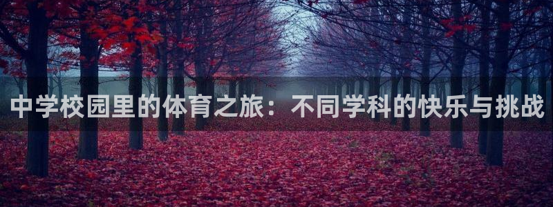betway西汉姆