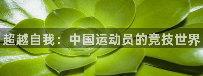 betway西汉姆官网