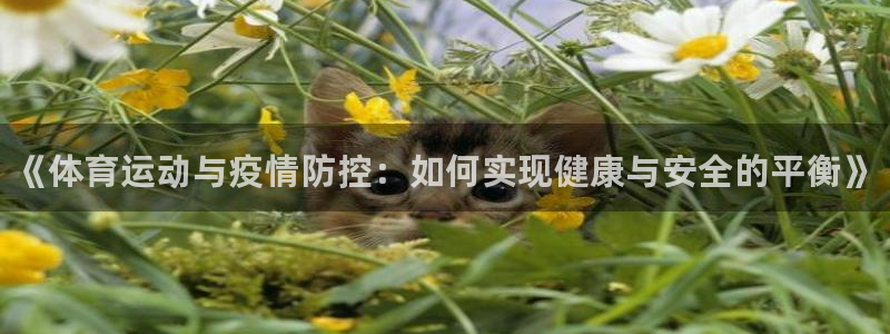 betway西汉姆