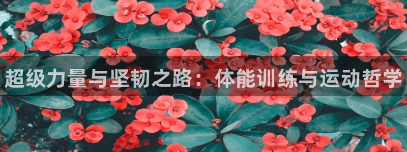 betway西汉姆